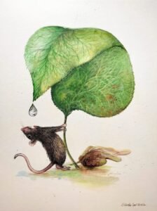 rozmiar 30x40cm