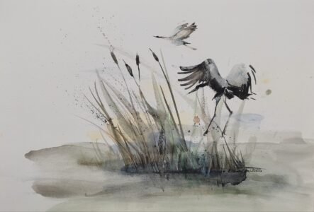 Rozmiar: 30x40cm