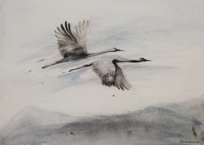 Rozmiar: 30x40cm