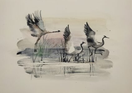 Rozmiar: 30x40cm