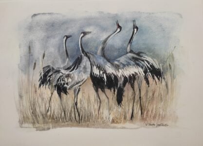 Rozmiar: 30x40cm