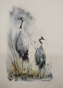 Rozmiar: 30x40cm