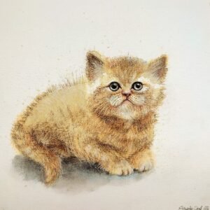 Rozmiar: ok 20x20cm